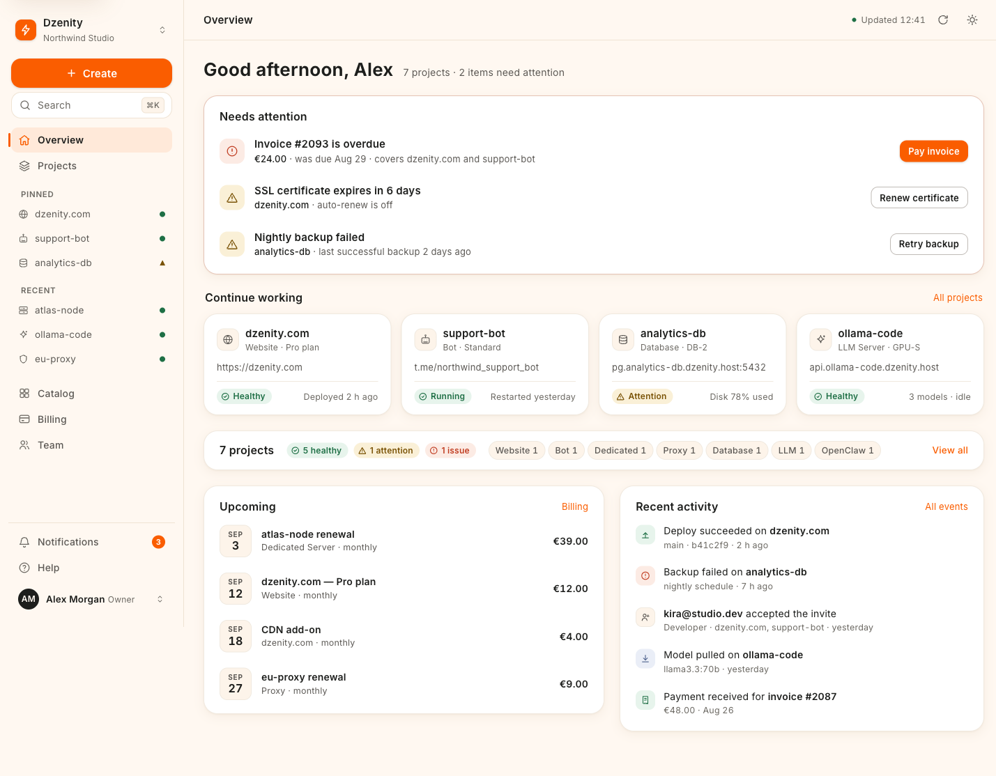 Dzenity panel — Overview page in light theme: needs-attention list, project cards, upcoming renewals and activity feed